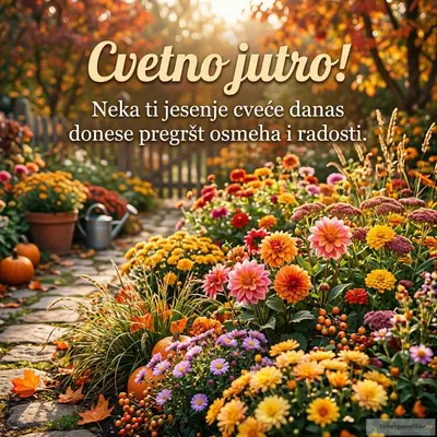 Prelepo jesenje cveće u veseloj atmosferi za dobro jutro.