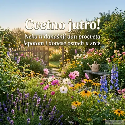 Prelepo cveće u punom sjaju, dočarava mirno i veselo letnje jutro.