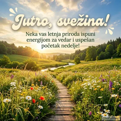 Prelepa, energična letnja priroda, ispunjena vedrinom jutra.