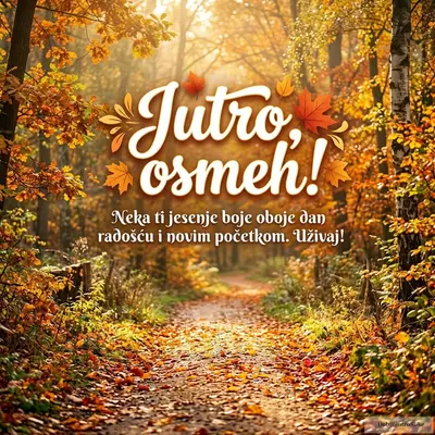 Veselo jesenje jutro u prirodi obasjano suncem.