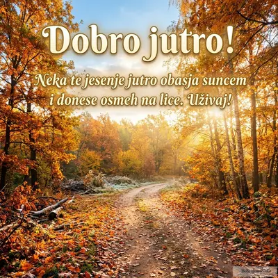 Vesela jesenja priroda, sunčan dan, idealno za dobro jutro.